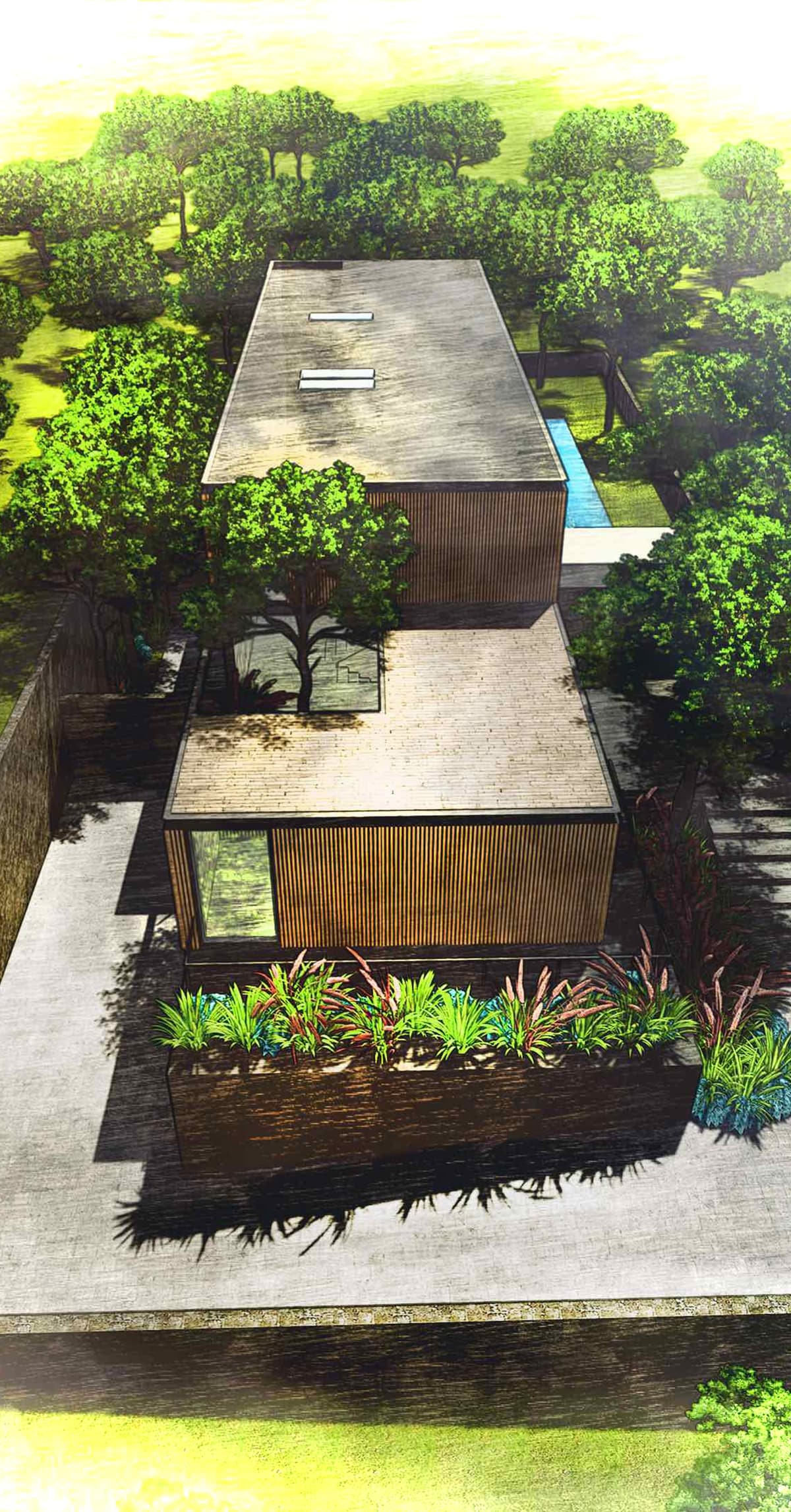 Aerial sketch-style rendering of the house with flat roofs, a courtyard tree and surrounding pine trees